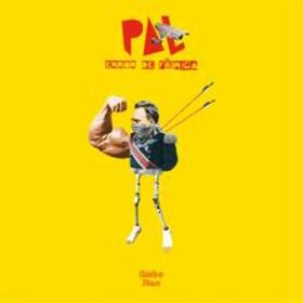 PAL - ERROR DE FABRICA