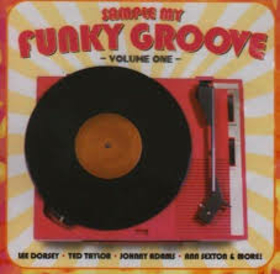 VARIOS ARTISTAS - SAMPLE MY FUNKY GROOVE 1