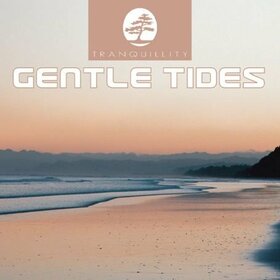 VARIOS ARTISTAS - GENTLE TIDES