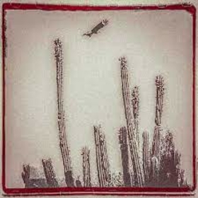 ESCOVEDO, ALEJANDRO - LA CRUZADA -DIGI-