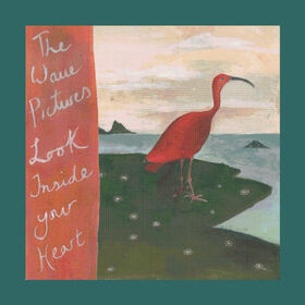 WAVE PICTURES - LOOK INSIDE YOUR HEART