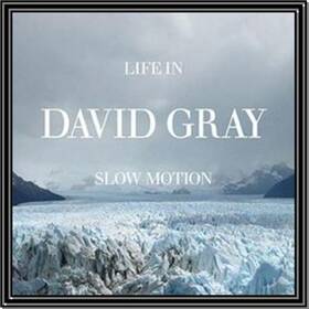 GRAY, DAVID - LIFE IN SLOW MOTION