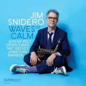 SNIDERO, JIM - WAVES OF CALM