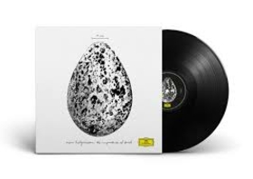 HALLGRIMSSON, SNORRI - IMPORTANCE OF BIRDS -HQ-