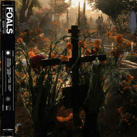 FOALS - EVERYTHING NOT LOST WILL BE SAVED 2