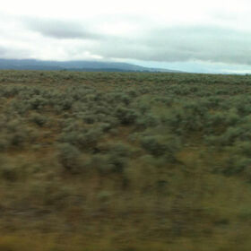 CAROLINE SAYS - 50.000.000 ELVIS FANS..