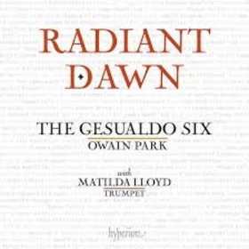 PARK, OWAIN - RADIANT DAWN