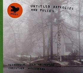 TRONDHEIM JAZZ ORCHESTRA - UNTITLED APREGGIOS AND..