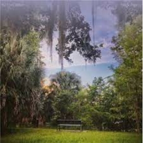 50 FOOT WAVE - BLACK PEARL -HQ-