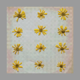 MOLOCHS - FLOWERS IN THE SPRING