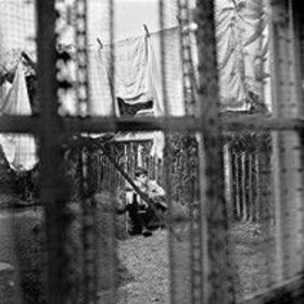 MCCARTNEY, PAUL - CHAOS AND CREATION IN BACKYARD