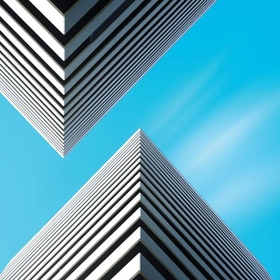 SNOW PALMS - LAND WAVES