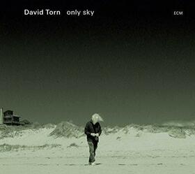 TORN, DAVID - ONLY SKY
