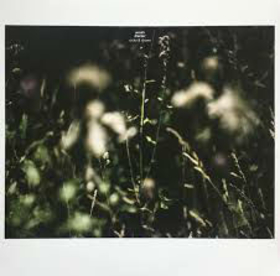 DRECKER, ANNELI - ROCKS & STRAWS