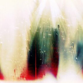 WAR ON DRUGS - FUTURE WEATHER