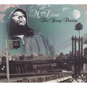 MR LIVE - BIG BANG THEORY