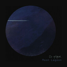 CO-PILGRIM - MOON LAGOON