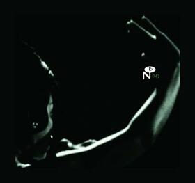 VARIOS ARTISTAS - ECCENTRIC SOUL: FORTE..