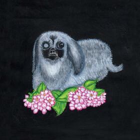 GUADALUPE PLATA - GUADALUPE PLATA 2017