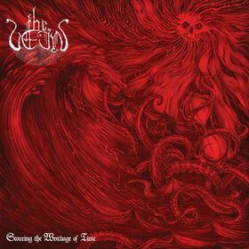 VEIN - SCOURING THE WRECKAGE..