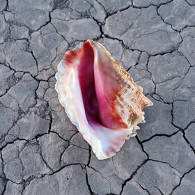 KILLERS - WONDERFUL WONDERFUL -GATEFOLD-