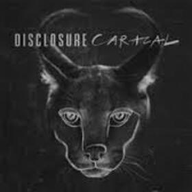 DISCLOSURE - CARACAL -LTD-