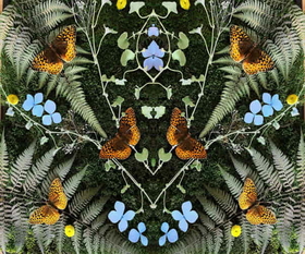 BLAIS, JEAN-MICHEL - AUBADES