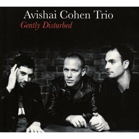 COHEN, AVISHAI - GENTLY DISTURBED