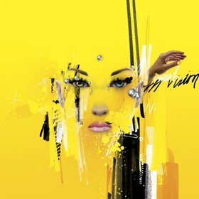 HISTORY INVADES - IN VISION VANISH INVISIBL