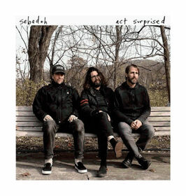 SEBADOH - ACT SURPRISED