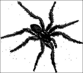 VARIOUS ARTISTS - TARANTISMO: ODYSSEY OF AN ITALIAN RITUAL