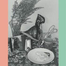 VINCENT OVER THE SINK - 22 COLOURED.. -REISSUE-