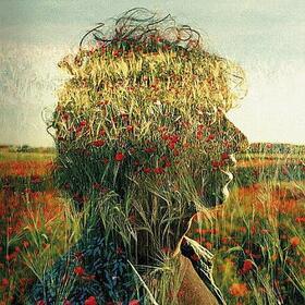 ROGER PISTOLA - QUART CREIXENT