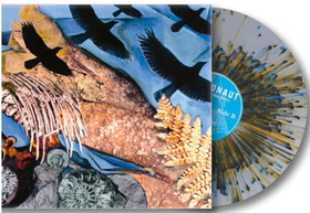 INTRONAUT - PREHISTORICISMS -LTD-