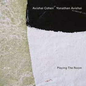 COHEN, AVISHAI - PLAYING THE ROOM