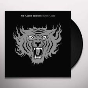 FLAMING SIDEBURNS - SILVER FLAMES