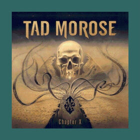 GRAND DESIGN - CHAPTER X