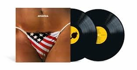 BLACK CROWES - AMORICA -HQ-