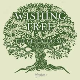 GESUALDO SIX - WISHING TREE