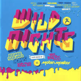 VARIOS ARTISTAS - WILD NIGHTS 2013