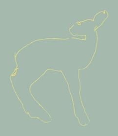 SONGS: OHIA - HECLA & GRIPER