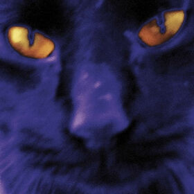 KILGOUR, DAVID - BOBBIE'S A GIRL