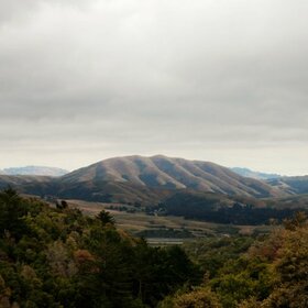 DIRTY PROJECTORS + BJORK - MOUNT WITTENBURG ORCA