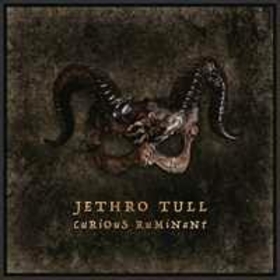 JETHRO TULL - CURIOUS RUMINANT -DIGI-
