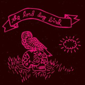 LORD DOG BIRD - LORD DOG BIRD PROJECT