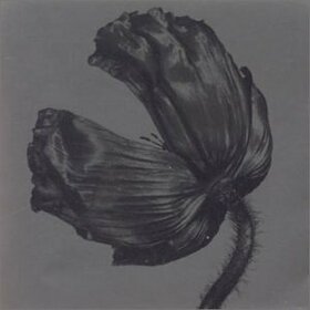 PET SHOP BOYS - RELEASE -LTD.-