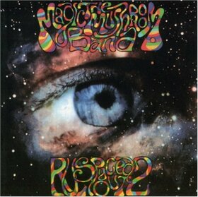 MAGIC MUSHROOM BAND - R U SPACED OUT 2