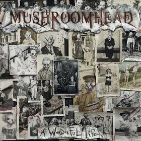 MUSHROOMHEAD - A WONDERFUL LIFE
