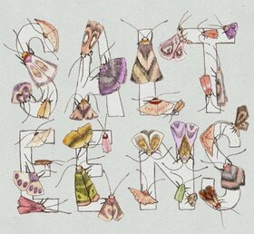 SALTEENS - MOTHS