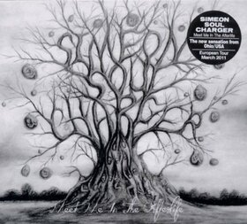 SIMEON SOUL CHARGER - MEET ME IN THE AFTERLIFE